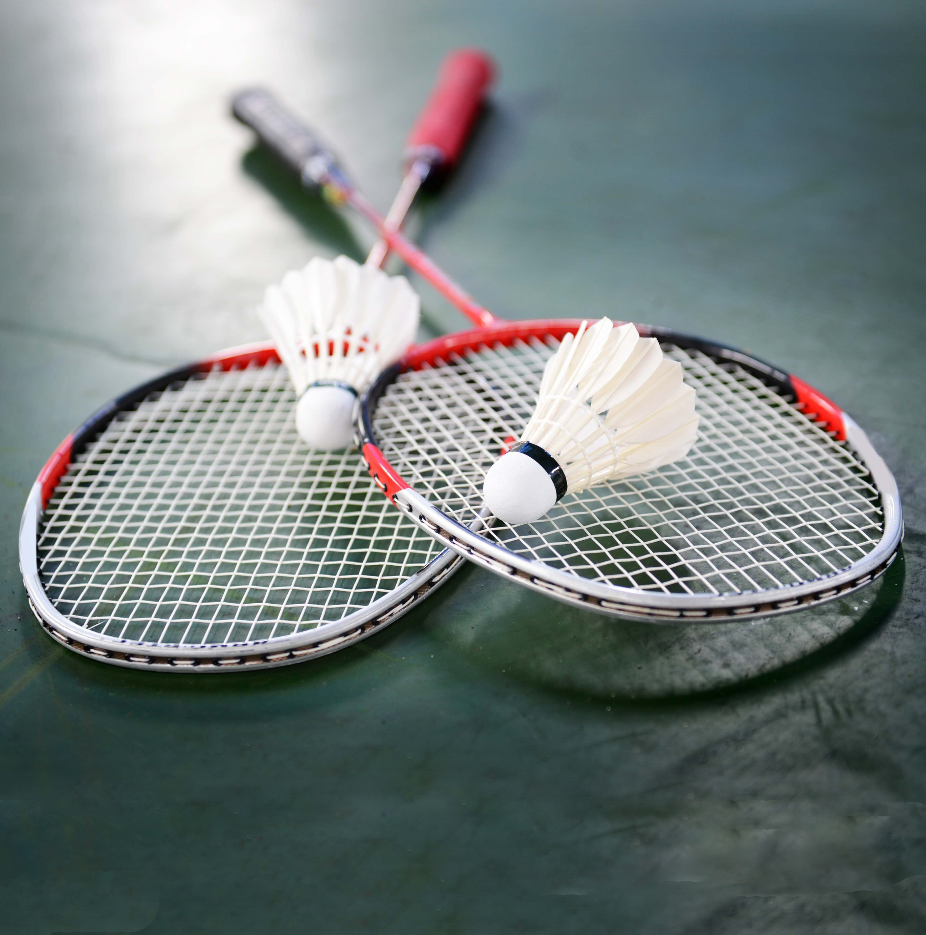 Badminton Tournament Central Penn College Badminton Tournament Central Penn College