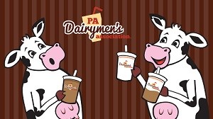 Two cows drinking milkshakes